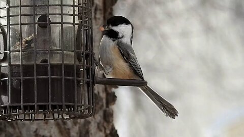 4089 Days Until The End Of The Planet