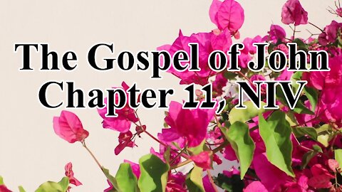 The Holy Bible - The Gospel of John Chapter 11 (Audio Bible - NIV)