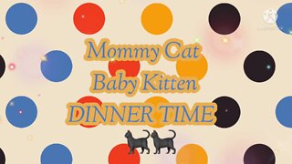 Mommy Cat-Baby Kitten: DINNER TIME