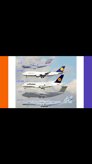 World's Largest Plane Compared To Others