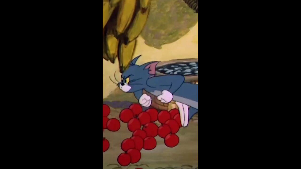 Tom& jerry Mouse and cat funny videos