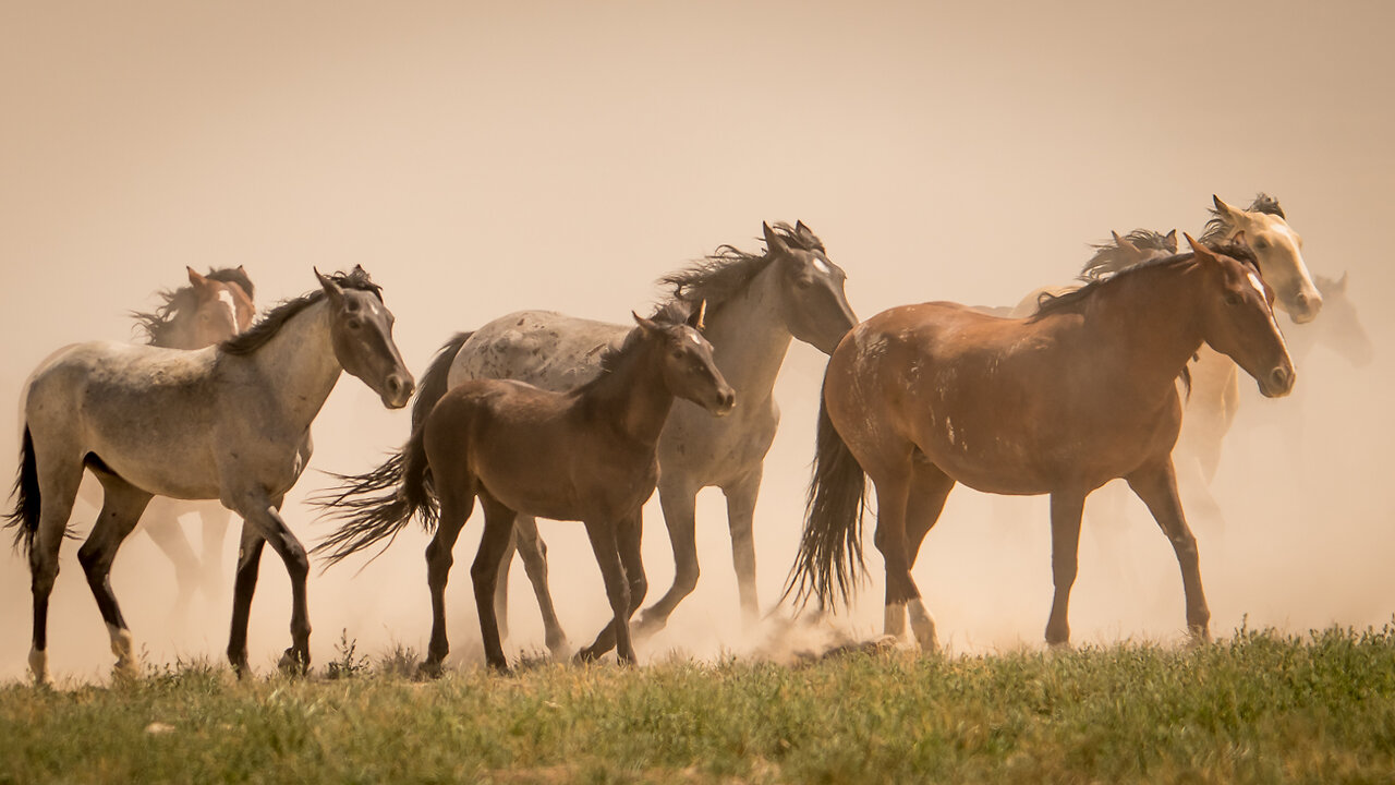 Part 4 Outtakes and Behind the Scenes Filming Wild Horses by Karen King