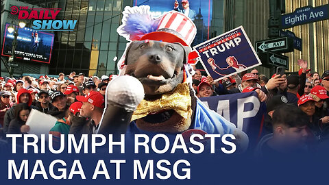 Triumph the Insult Comic Dog Roasts Trump Supporters At His MSG Rally