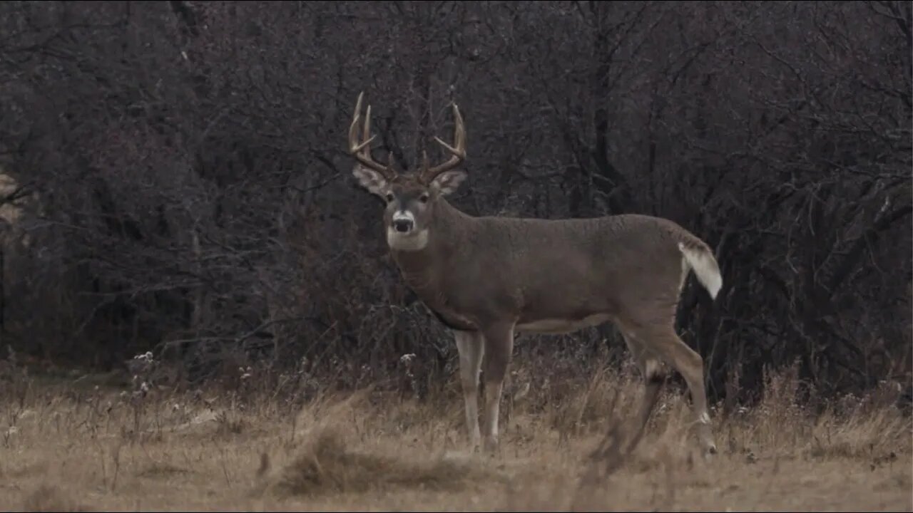 COLD North Dakota Late RUT Hunt!