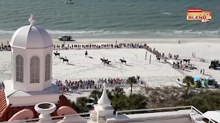 Don Cesar Polo on the Beach | Morning Blend
