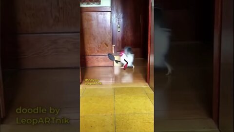 Cool animation