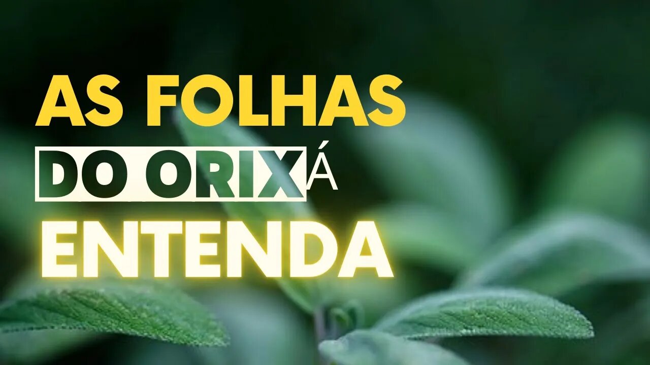 Entendo as folhas do Orixá