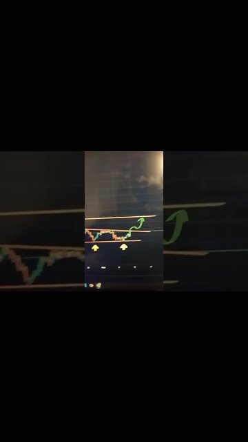 SHIBA INU 🤑 Crypto #shorts