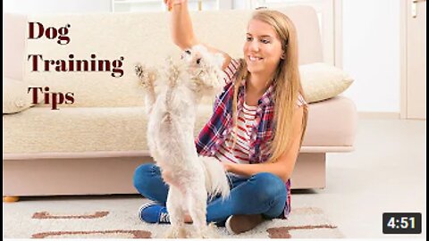 Dog Training Tips - Creat Games For Dog Training