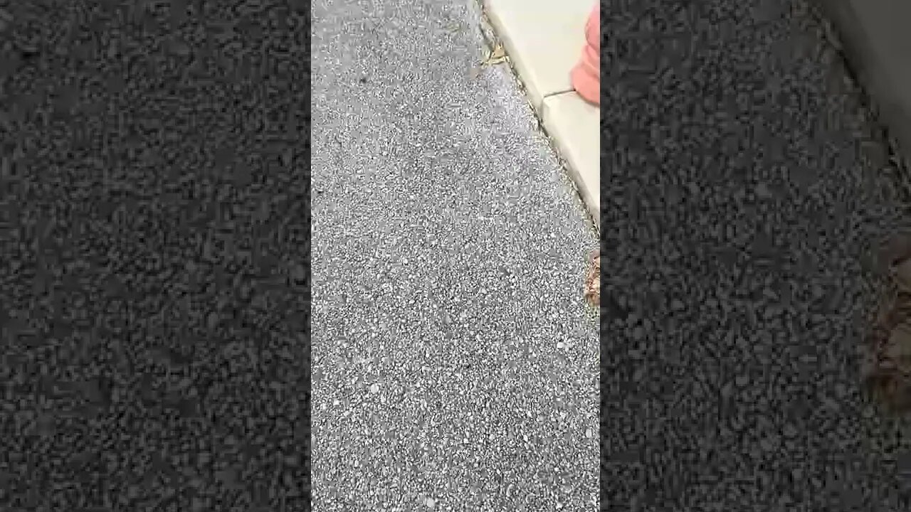 August 7, 2022 #gangstalking pervs watched me #homeless