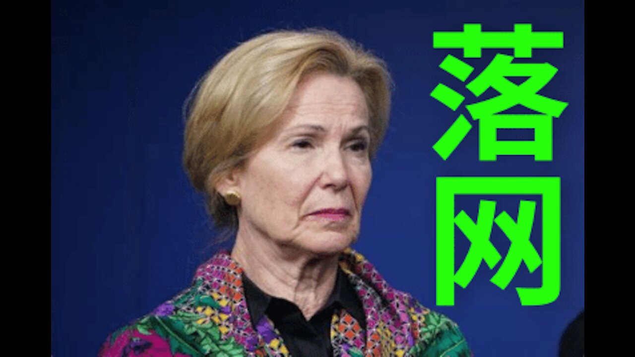 【老安有话说】又一条毒蛇落网! #CDC #新冠病毒 #DeborahBirx