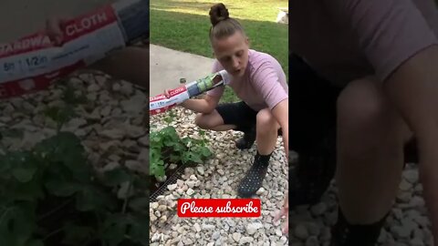 What is a watermelon 🍉 blanket? #shorts