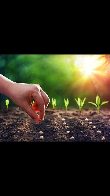 Tricks on easy planting