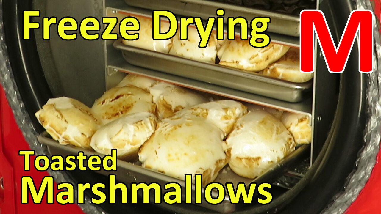 Freeze Drying Toasted Marshmallows 1