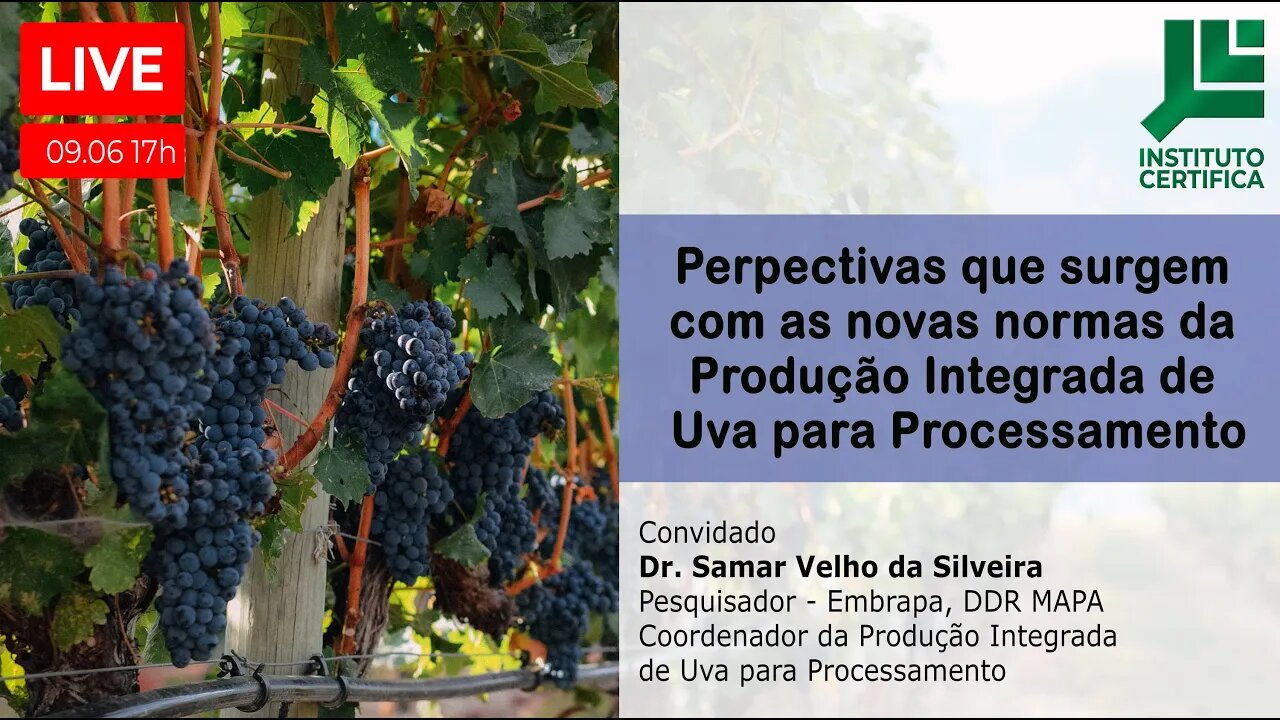 PERSPECTIVAS QUE SURGEM COM AS NOVAS NORMAS DA PRODUÇÃO INTEGRADA DE UVA PARA PROCESSAMENTO