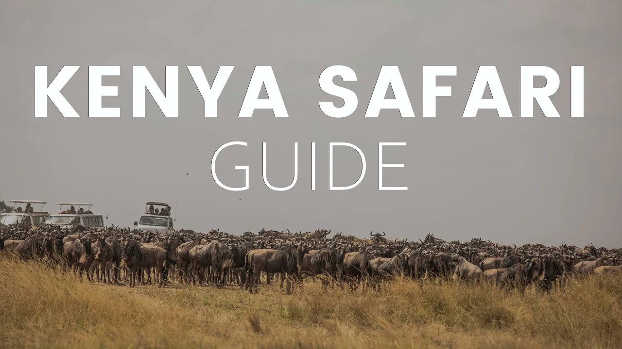 How to Plan the Perfect Trip to Kenya - Travel Advice