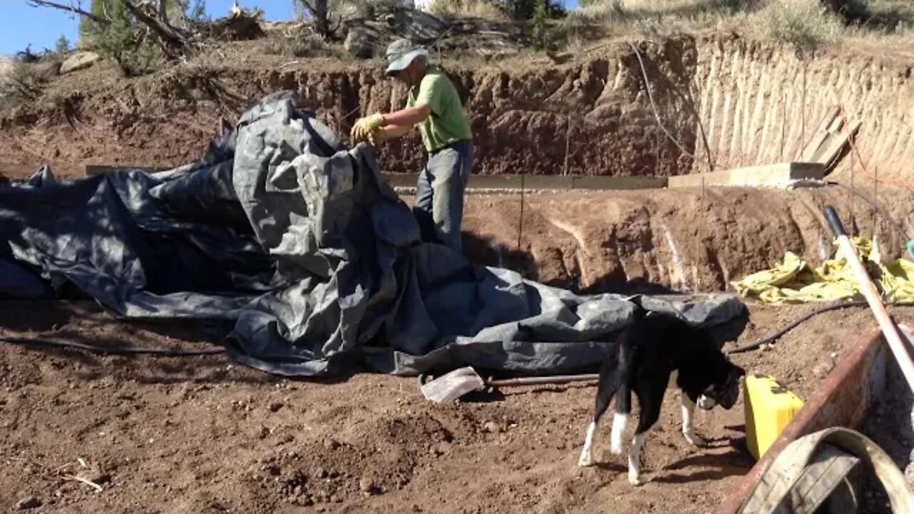 Greenhouse Build #15