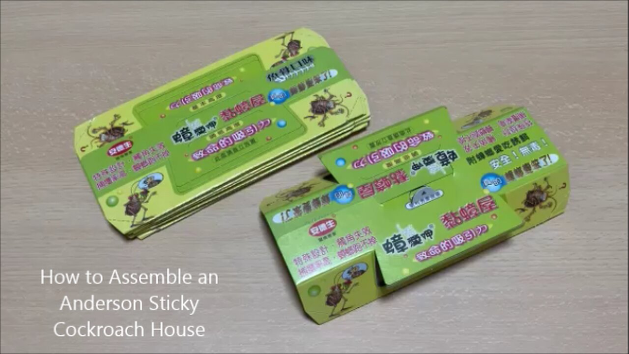 How to Assemble an Anderson Sticky Cockroach House