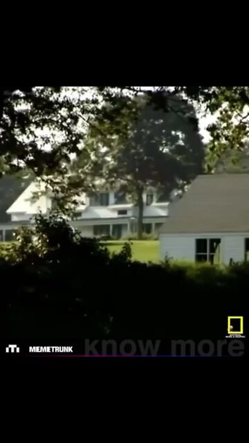 #BigMike #Obama Biggus Mikus Erectus