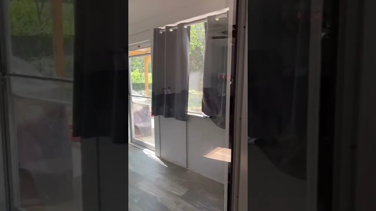 When your dog is a problem solver