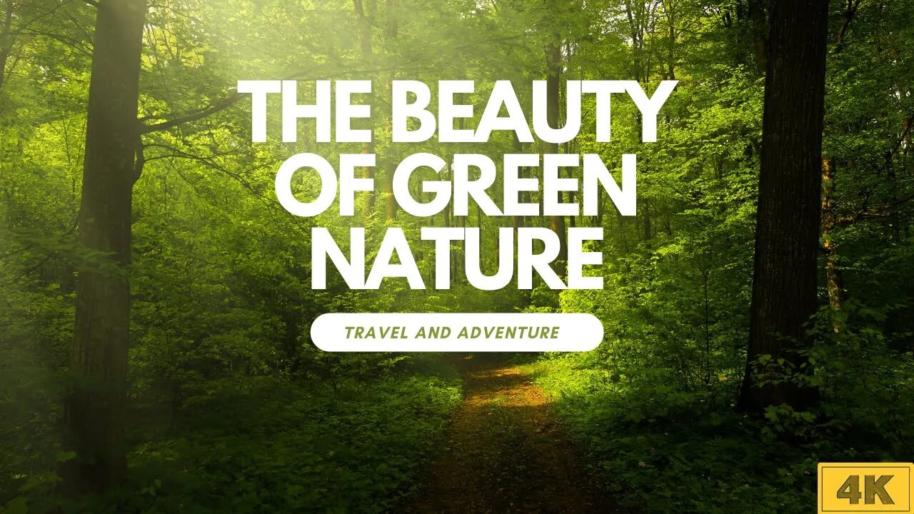 The Beauty of Green Nature 4k Travel and adventure