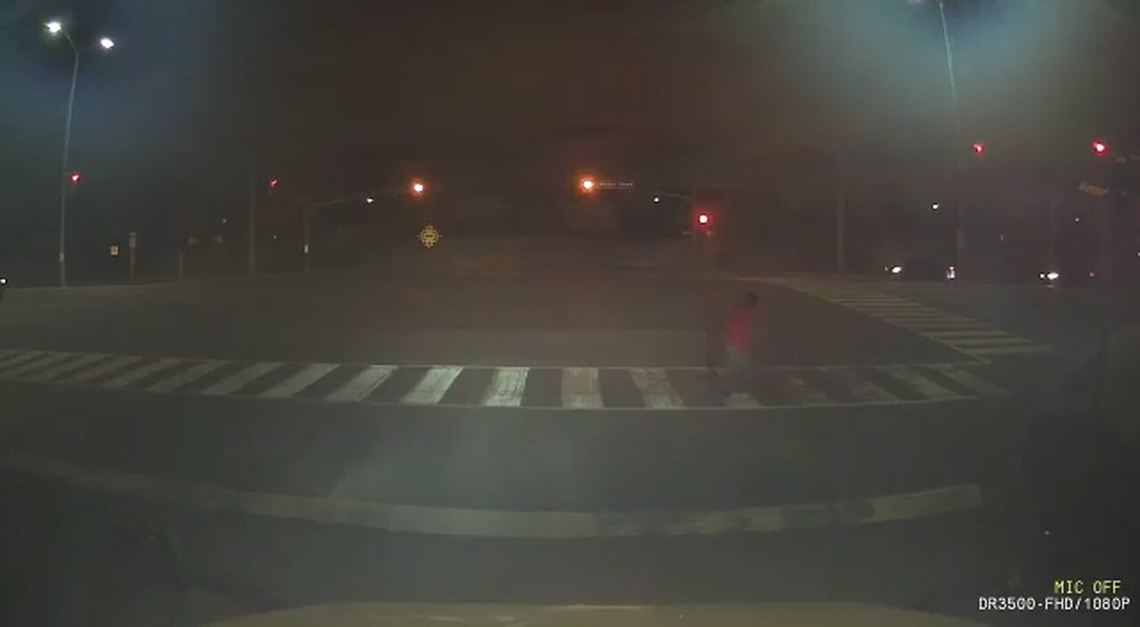 Pedestrian Crossing Accident