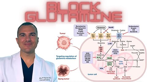 How to BLOCK Glutamine: SPECIFIC Targets