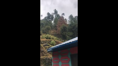 kashmir