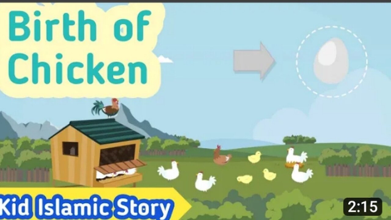 Birth of chicken 🐓