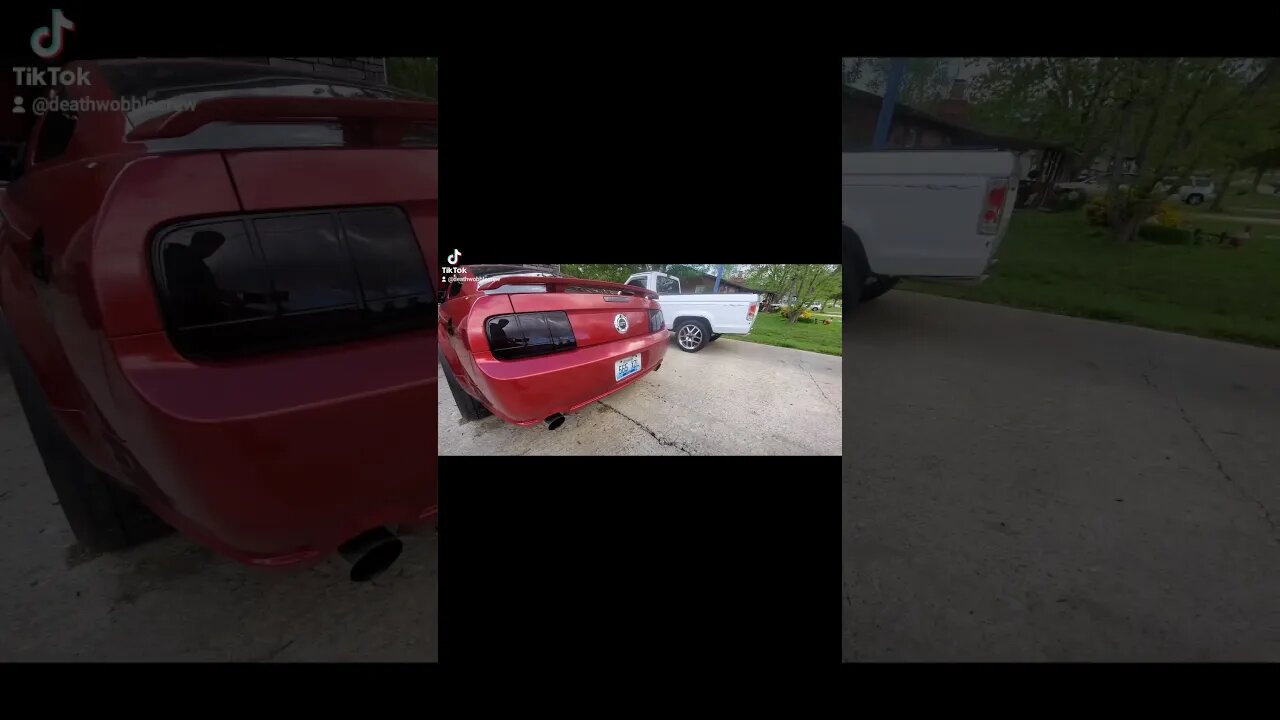 #mustang #mustanggt #4point6 #3valve #cammed #hotrodcams #fordmustang #fordracing #fordperformance