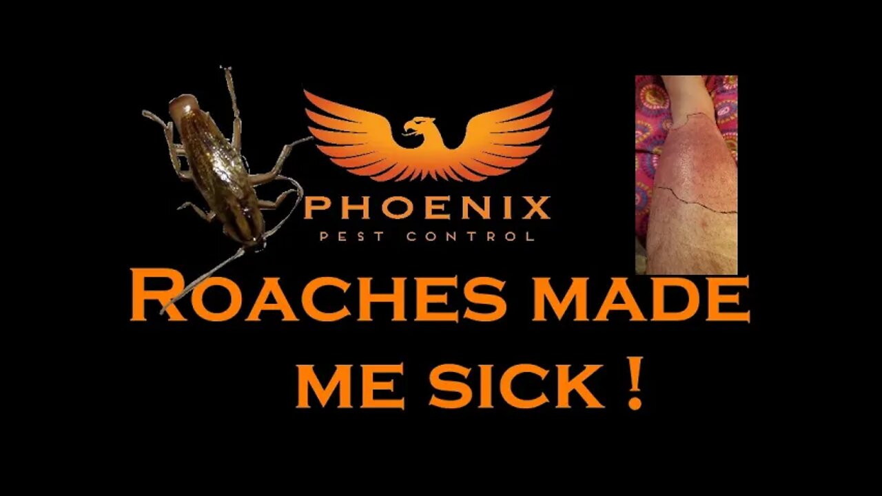 Roaches Made me Sick! #whatbugsme