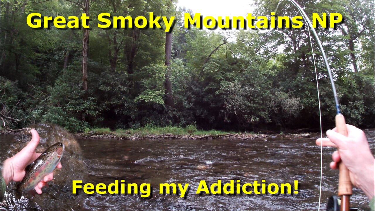Great Smoky Mountains NP - Fly Fishing for Trout - Feeding my Addiction!