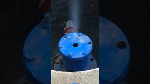 Most Popular and Trending videos in 2022(3)