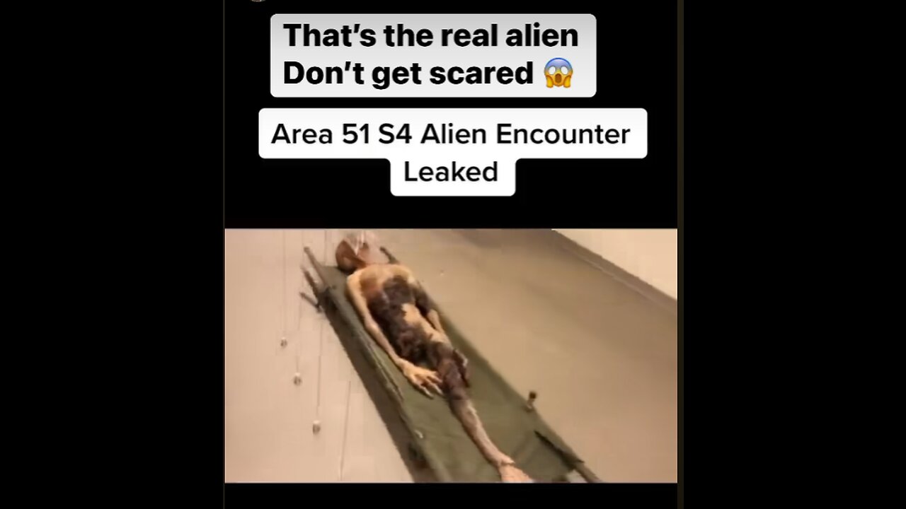 That's the REAL ALIEN Don't get SCARED.