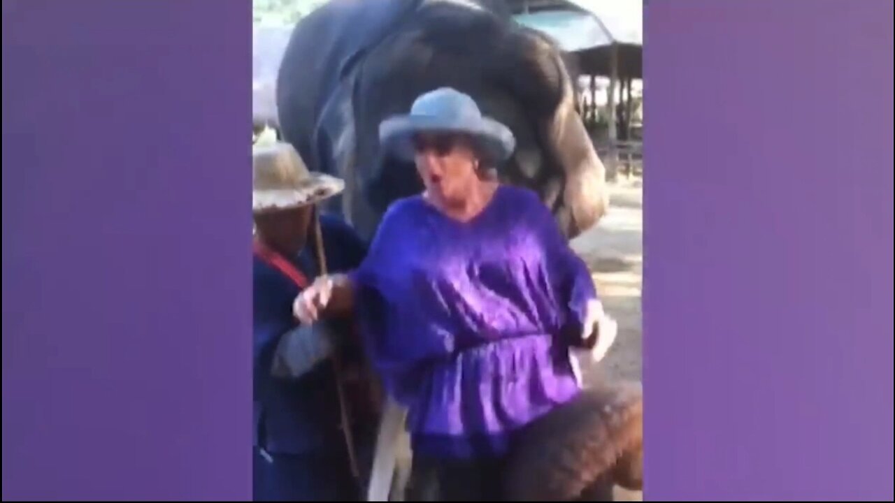 Stunned elephant lifts up a woman !