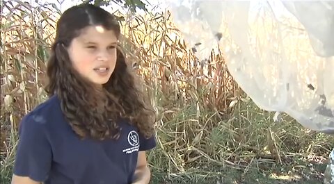 Teen Girl Invents Clever Trap To Catch Spotted Lanternflies - HaloRock
