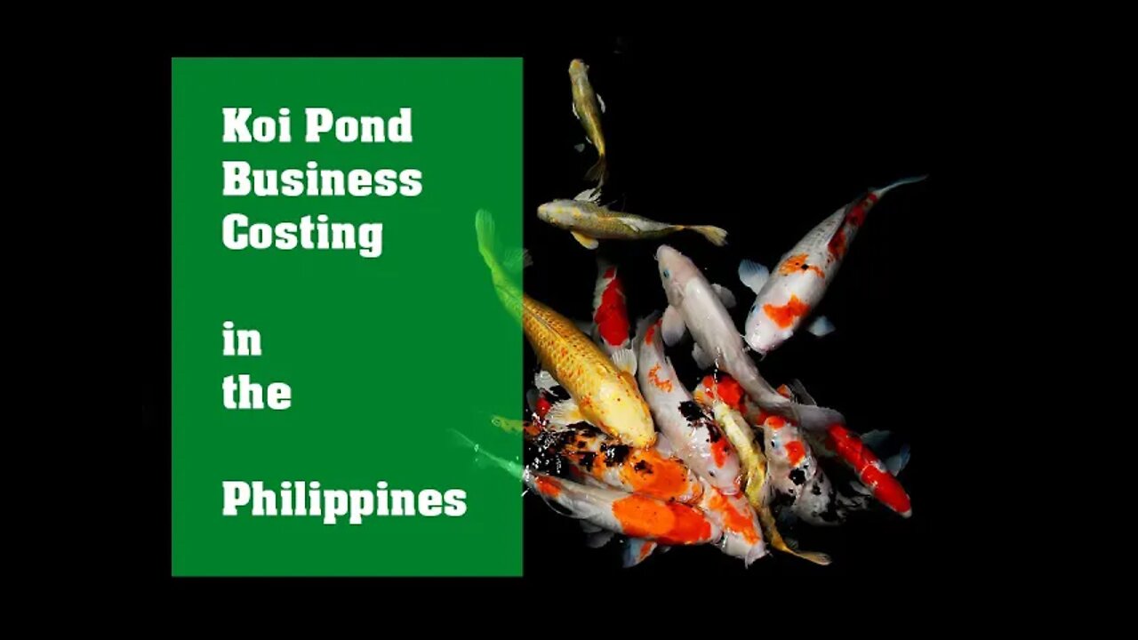 Koi Pond | How much will it cost?