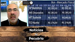 Boi gordo acumula em 10 dias queda superior a 6%. Pressão da indústria continua