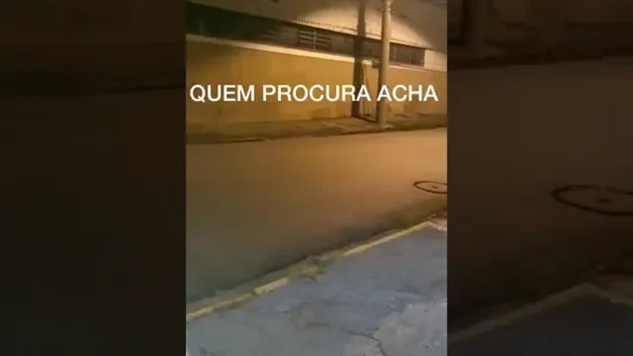 QUEM PROCURA ACHA #shorts