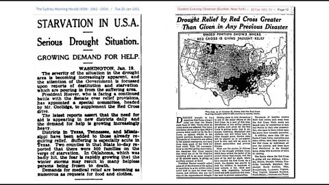 Record Heat, Drought, Fires And Insects