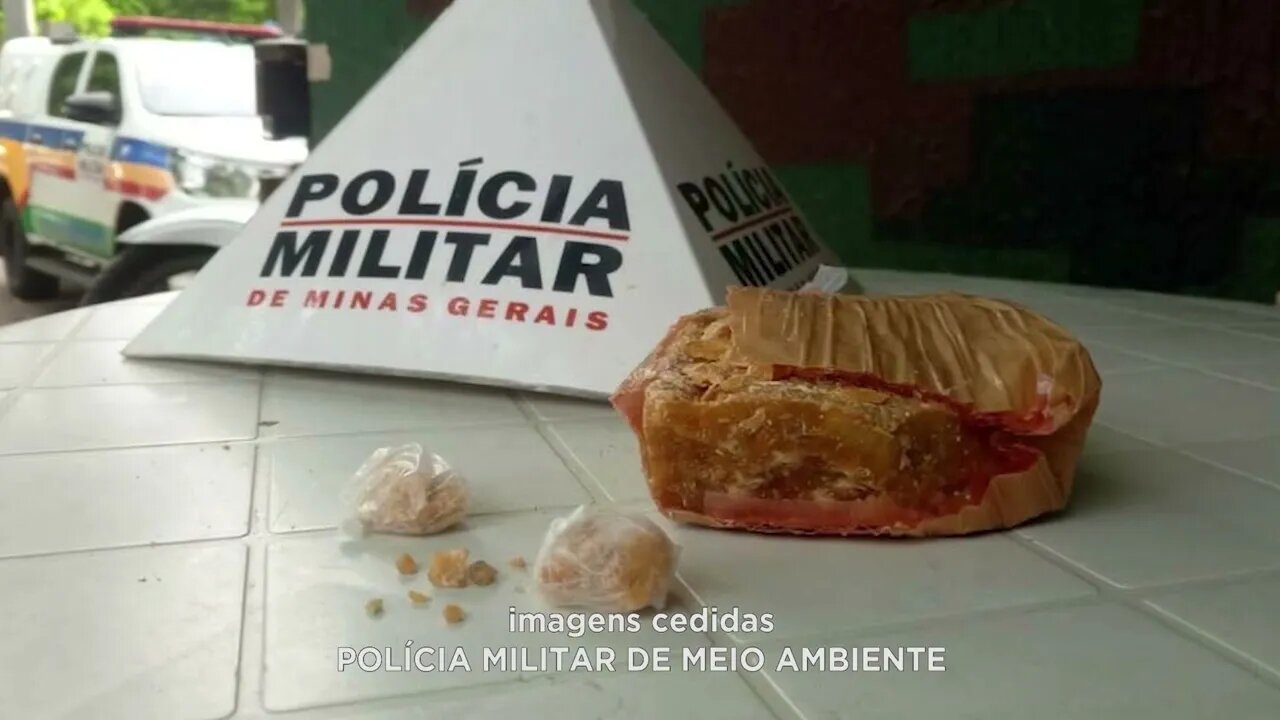 Em Ipatinga: Operação da PM ambiental termina com apreensão de drogas e uma mulher presa