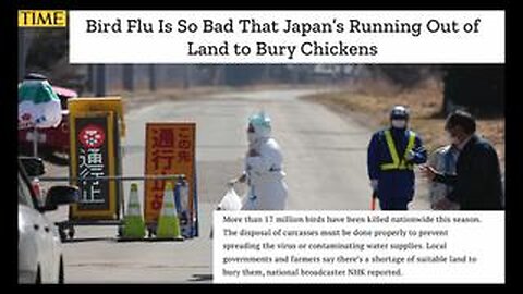 Flu, Bird Flu, Whatever Flu—Vaccine For You - UK Column News - 12th April 2023