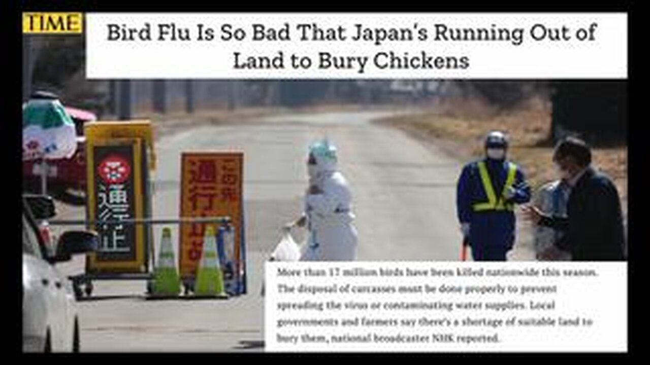 Flu, Bird Flu, Whatever Flu—Vaccine For You - UK Column News - 12th April 2023
