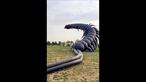Amazing videos