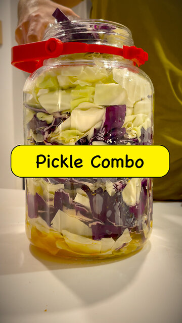 “شروعی ترش و تند: ترشی کلمی با رنگارنگی که از اولین قاشق غذایتان را تند می‌کند”