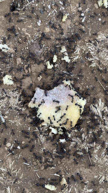 #teambuilding 😂👌