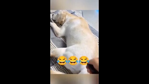 Funny Fails #2