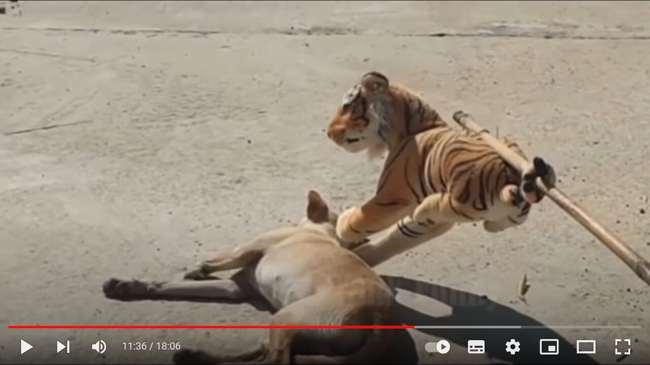 Troll with fake lion and fake tiger to haunt panicked dogs.