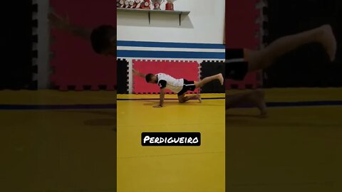 Perdigueiro