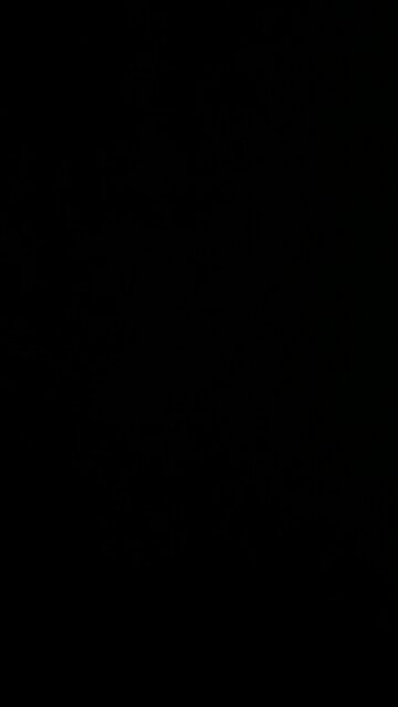 Disaster of a president